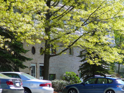 Building B (65 - 80 Farrwood Dr)